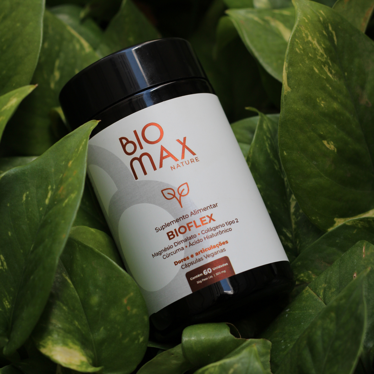 Bioflex - Suplemento Natural com Cúrcuma 60caps